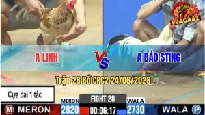 Trận 28 CPC2 24/06/2026 – Anh Bảo Sting Lụm Tiền Trong Vài Nốt Nhạc