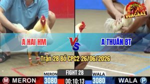 Trận 28 CPC2 26/06/2026 – Gà Anh Hai HM Khiến Đối Thủ Quay Đầu Bỏ Chạy
