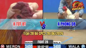 Trận 28 CPC2 28/06/2026 – Anh Phong Q8 Hạ Anh Út Trong 3 Nốt Nhạc