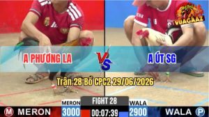 Trận 28 CPC2 29/06/2026 – Gà Bướm Anh Út Sài Gòn Đá Đòn Quá Hiểm Hóc