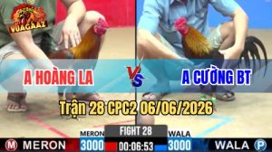 Trận 28 CPC2 Ngày 06/06/2026 Tại Vua Gà AZ