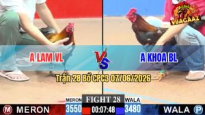 Trận 28 CPC3 07/06/2026 - Gà Que Quá Trâu Bò Gồng Gánh Cầm Hoà