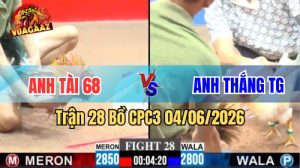 Trận 28 CPC3 Ngày 04/06/2026 Tại Vua Gà AZ