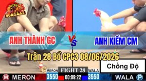 Trận 28 CPC3 Ngày 08/06/2026 Tại Vua Gà AZ