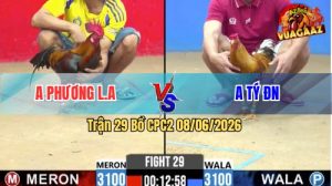 Trận 29 CPC2 08/06/2026 - Anh Phương Long An Thắng Trong Thế Thua