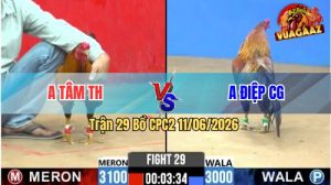 Trận 29 CPC2 11/06/2026 - Gà Khét Anh Tâm Bươi Chà Như Cái Máy