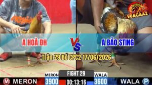 Trận 29 CPC2 17/06/2026 – Gà Khét Anh Hoà Lụm Anh Bảo Sting
