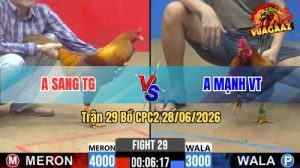 Trận 29 CPC2 28/06/2026 – Gà Điều Chấp Ngông Gặp Khét Đá Như Phim