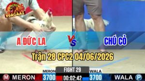 Trận 29 CPC2 Ngày 04/06/2026 Tại Vua Gà AZ