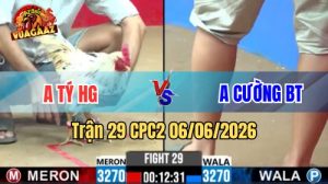 Trận 29 CPC2 Ngày 06/06/2026 Tại Vua Gà AZ