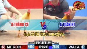 Trận 29 CPC3 11/06/2026 - Gà Anh Toàn Bến Tre Có Chân Cựa Chí Mạng