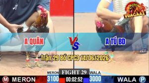 Trận 29 CPC3 14/06/2026 – Gà Úa Anh Tú Đá Đúng 3 Chân Lụm Tiền