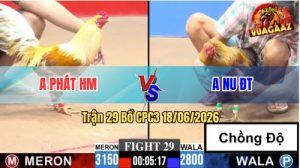 Trận 29 CPC3 18/06/2026 – Gà Xám Anh Nu Chồng Độ Phản Ăn 2 Quá Hay