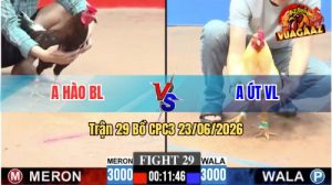 Trận 29 CPC3 23/06/2026 – Anh Hào HL Làm Thịt Anh Út VL Nhanh Gọn
