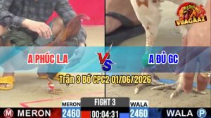 Trận 3 CPC2 01/06/2026 - Gà Bướm Anh Đủ Bươi Chà Như Cái Máy