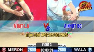 Trận 3 CPC2 02/06/2026 - Gà Điều Anh Đạt Chụp Siết Đúng 1 Hơi