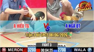 Trận 3 CPC2 08/06/2026 - Anh Ngà Chấp Ngông Bị Anh Hiếu Lụm Gọn