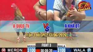 Trận 3 CPC2 13/06/2026 - Gà Anh Khá Đồng Tháp Gồng Tang Quá Hay