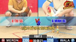 Trận 3 CPC2 15/06/2026 – Anh Thi Sài Gòn Không Cho Đối Thủ Cơ Hội