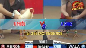 Trận 3 CPC2 28/06/2026 – Gà Úa Anh Phiêu Đá Cựa Đâm Quá Tịch