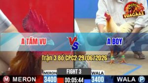 Trận 3 CPC2 29/06/2026 – Anh Boy Có Màn Ra Quân Quá Thuận Lợi