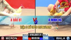 Trận 3 CPC3 01/06/2026 - Gà Úa Anh Bảo Phản Tang Phút 90