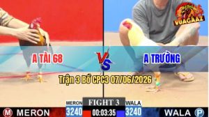 Trận 3 CPC3 07/06/2026 - Gà Anh Tài 68 Lùa 1 Cơ Lụm Tiền