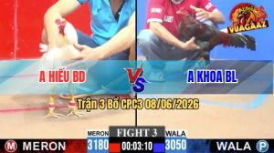 Trận 3 CPC3 08/06/2026 - Gà Điều Anh Khoa Đá Toàn Cựa Nghiệt