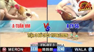 Trận 3 CPC3 11/06/2026 - Gà Khét Anh Ty Đá Chân Nào Cũng Có Cựa