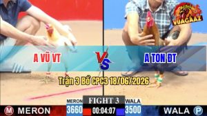Trận 3 CPC3 18/06/2026 – Anh Ton ĐT Lội Ngược Dòng Ở Phút Cuối