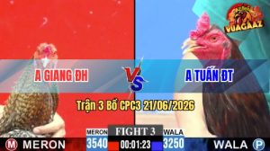 Trận 3 CPC3 21/06/2026 – Anh Kiểm Cà Mau Thể Hiện Tài Nghệ Nài Gà
