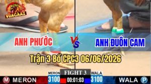Trận 3 CPC3 Ngày 06/06/2026 Tại Vua Gà AZ