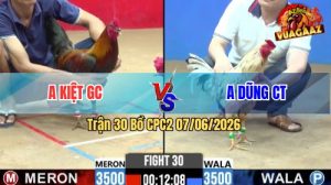 Trận 30 CPC2 07/06/2026 - Gà Bướm Anh Dũng Đá Chưa Tới 1 Tay Nước