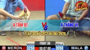 Trận 30 CPC2 16/06/2026 – Gà Cú Anh Thắng Lì Đòn Lật Kèo Ở Phút 90