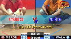 Trận 30 CPC2 28/06/2026 – Gà Điều Anh Khôi Đá Cựa Đâm Như Đời Tới