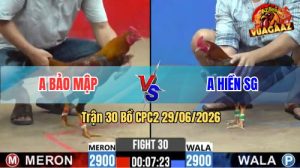 Trận 30 CPC2 29/06/2026 – Gà Khét Anh Bảo Đá Cựa Đâm Dính Như Keo