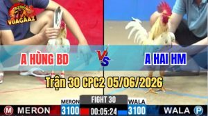 Trận 30 CPC2 Ngày 05/06/2026 Tại Vua Gà AZ