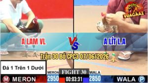 Trận 30 CPC3 07/06/2026 - Gà Điều Anh Lam Đá Cựa Đâm Như Đời Tới