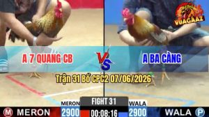 Trận 31 CPC2 07/06/2026 - Gà Cú Anh 7 Quang Đá Quá Tốc Độ