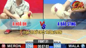 Trận 31 CPC2 10/06/2026 - Anh Bảo Sting Cứ Gặp Anh Hoà Là Toang