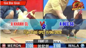 Trận 31 CPC2 11/06/2026 - Gà Điều Anh Đức Nạp Siết Quá Tốc Độ