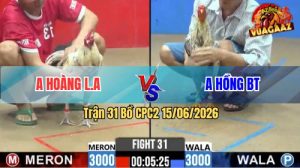 Trận 31 CPC2 15/06/2026 – Gà Anh Hoàng Gãy Cánh Vẫn Thắng Được