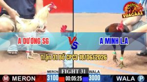 Trận 31 CPC3 18/06/2026 – Gà Điều Anh Minh Siết 1 Hơi Lụm Tiền