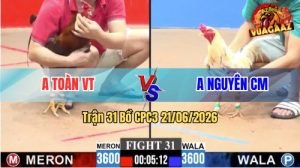 Trận 31 CPC3 21/06/2026 – Gà Điều Anh Toàn Có Pha Phản Đòn Phút Cuối