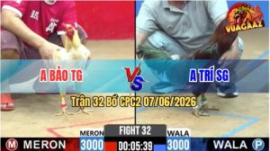 Trận 32 CPC2 07/06/2026 - Gà Anh Trí Sài Gòn Phản Đòn Thắng Ngược
