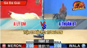 Trận 32 CPC2 11/06/2026 - Gà Úa Anh Lý CM Đá Đòn Như Tên Bay
