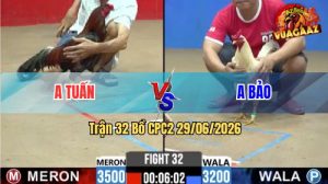 Trận 32 CPC2 29/06/2026 – Gà Điều Anh Tuấn Đá Mấy Chân Lụm Anh Bảo