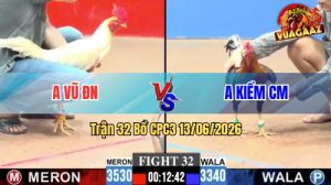 Trận 32 CPC3 13/06/2026 - Gà Úa Anh Vũ Đá Khôn Như Người Ta