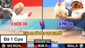 Trận 32 CPC3 14/06/2026 – Anh Phú Chấp Anh Kiểm 8 Chấm Mà Vẫn Húp