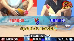 Trận 32 CPC3 15/06/2026 – Gà Bướm Anh Khanh Đá Nhanh Như Điện